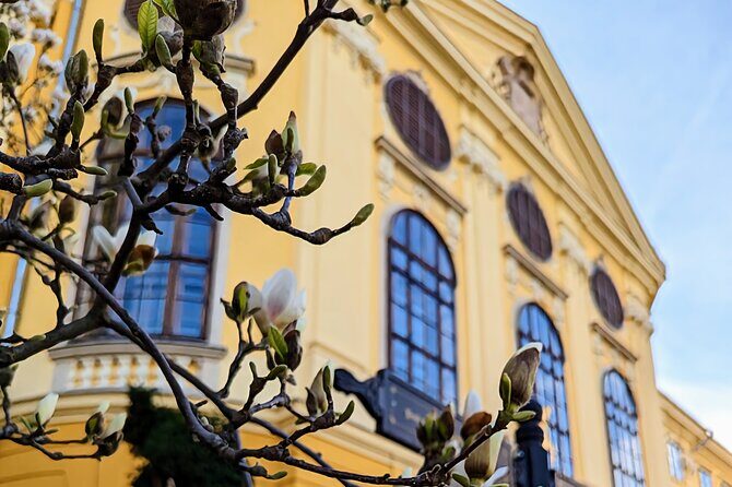 Half-Day Private Food and Wine Walking Tour Oradea Romania - A Deep Dive into the Oradea Food and Wine Tour