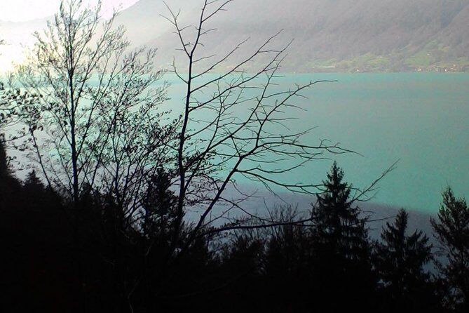 Half-Day Private Giessbach Falls and Lake Brienz from Interlaken - Key Points