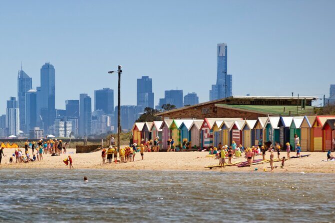 Half-Day Private Guided Introduction Tour in Melbourne - Who Will Love This Tour?