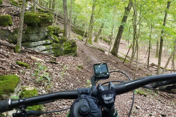 Half-Day Private Guided Mountain Bike Tour in Bentonville - Who Will Love This Tour?