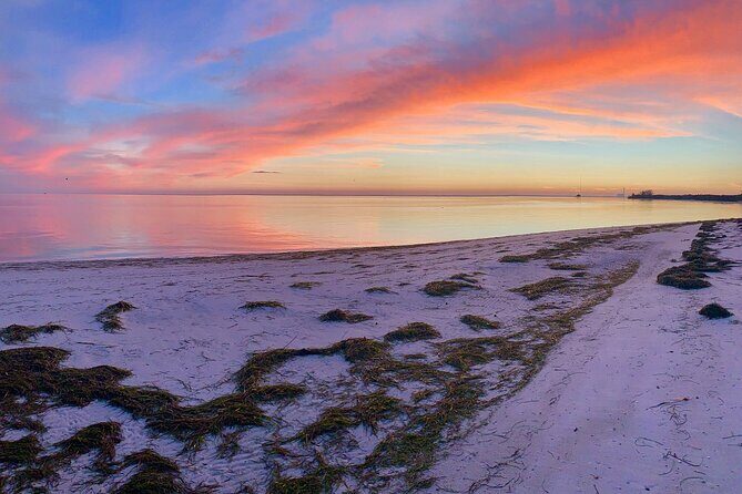 Half-Day Private Guided Nature of Floridas Gulf Coast Eco Tour - Key Points
