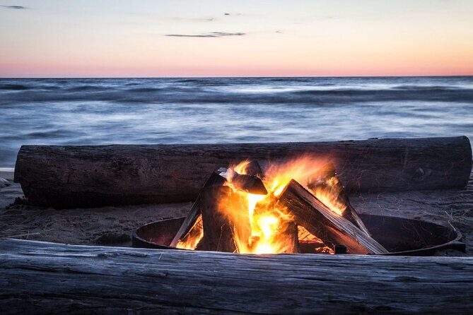 Half-Day Private Guided Nature of Floridas Gulf Coast Eco Tour - Who Will Love This Tour?