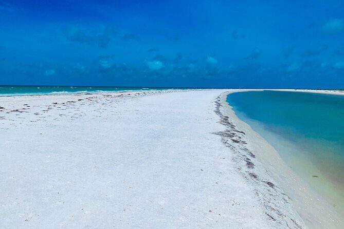 Half-Day Private Guided Nature of Floridas Gulf Coast Eco Tour - Final Thoughts