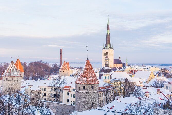 Half-Day Private Guided Sightseeing Tour of Tallinn - A Deep Dive into the Tallinn Private Tour Experience