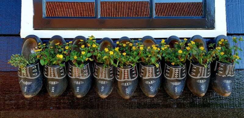 Half-Day Private Guided Sightseeing Tour of Zaanse Schans - The Sum Up