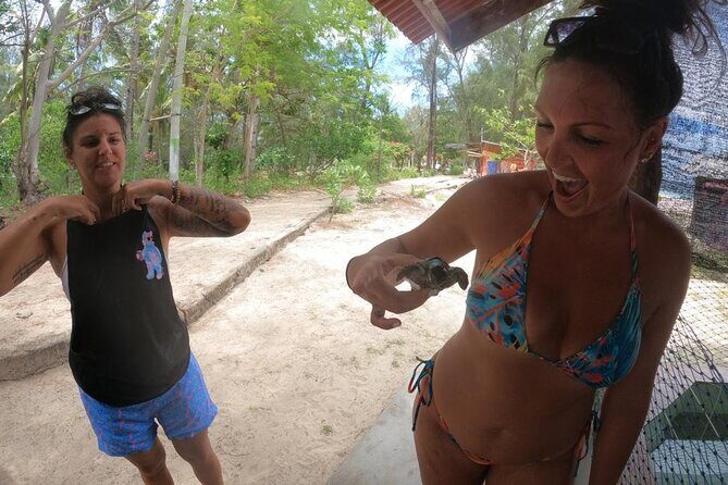 Half-Day Private Guided Snorkeling Turtles Underwater Statues - Exploring the Gili Islands Snorkeling Tour in Detail