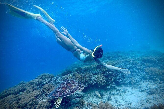Half-Day Private Guided Snorkeling Turtles Underwater Statues - Who Would Benefit Most from This Tour?
