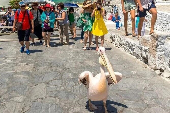 Half-Day Private Guided Tour in Mykonos up to 6 - The Value of a Private Tour in Mykonos