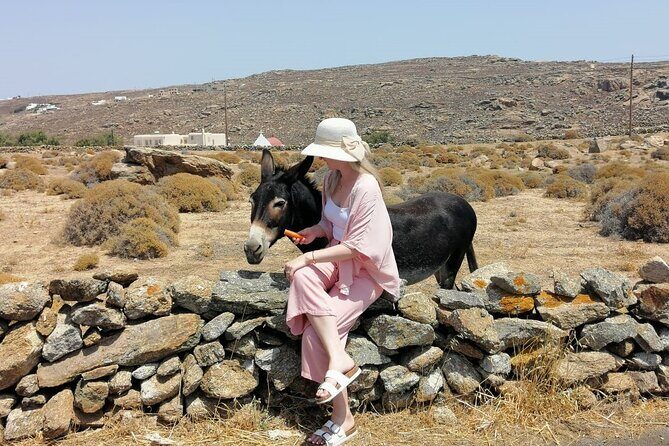 Half-Day Private Guided Tour in Mykonos up to 6 - Frequently Asked Questions