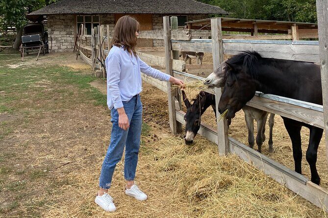 Half-Day Private Guided Tour of Orheiul Vechi and a Farmhouse - Final Thoughts: Who Will Love This Tour?