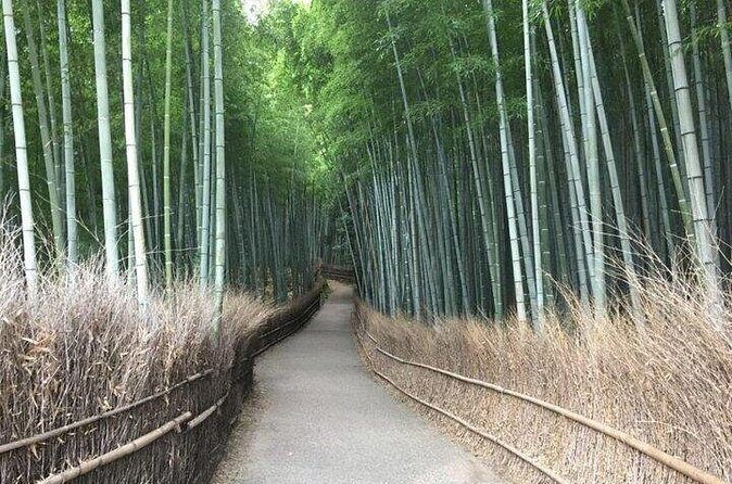 Half-Day Private Guided Tour to Arashiyama, Kyoto - Final Thoughts
