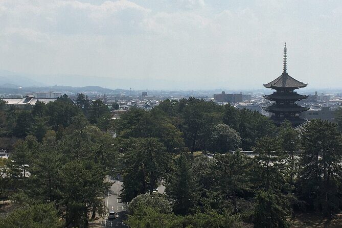 Half-Day Private Guided Tour to Nara City - Key Points