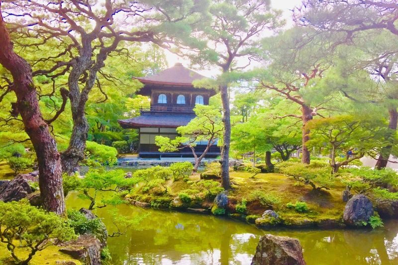 Half-Day Private Guided Tour to the Silver Pavilion in Kyoto - A walk that makes the Silver Pavilion more than a final stop