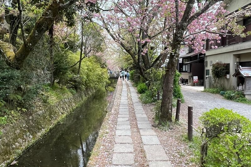 Half-Day Private Guided Tour to the Silver Pavilion in Kyoto - Finding a quieter rhythm at Nanzen-ji