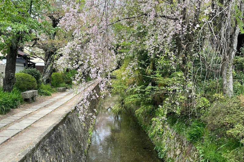 Half-Day Private Guided Tour to the Silver Pavilion in Kyoto - Following the Path of Philosophy