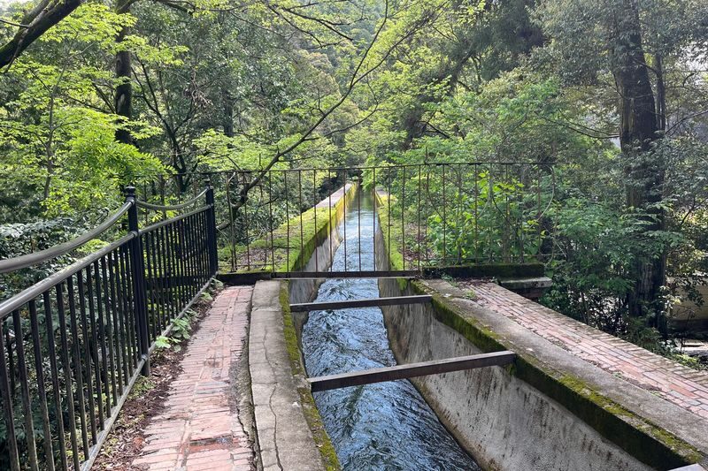 Half-Day Private Guided Tour to the Silver Pavilion in Kyoto - Price, admissions, and the private-tour question