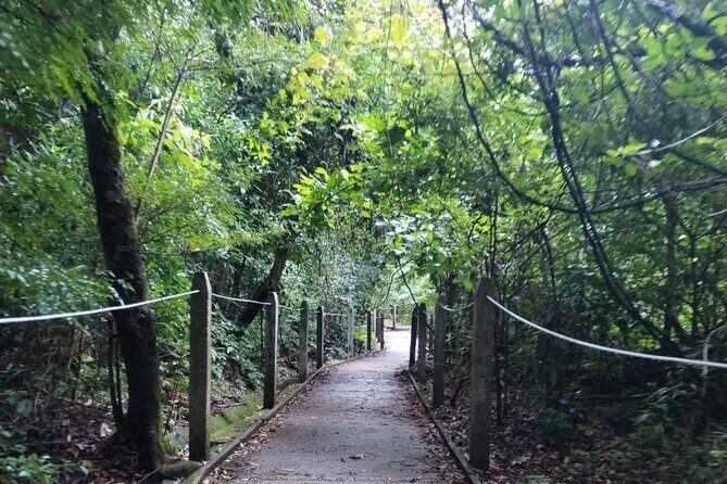 Half Day Private Hike in Rincon de la Vieja National Park - Key Points