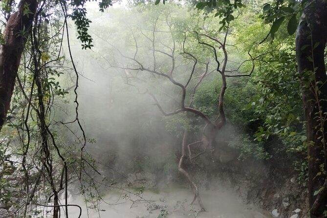 Half Day Private Hike in Rincon de la Vieja National Park - Authentic Experiences and Guest Feedback