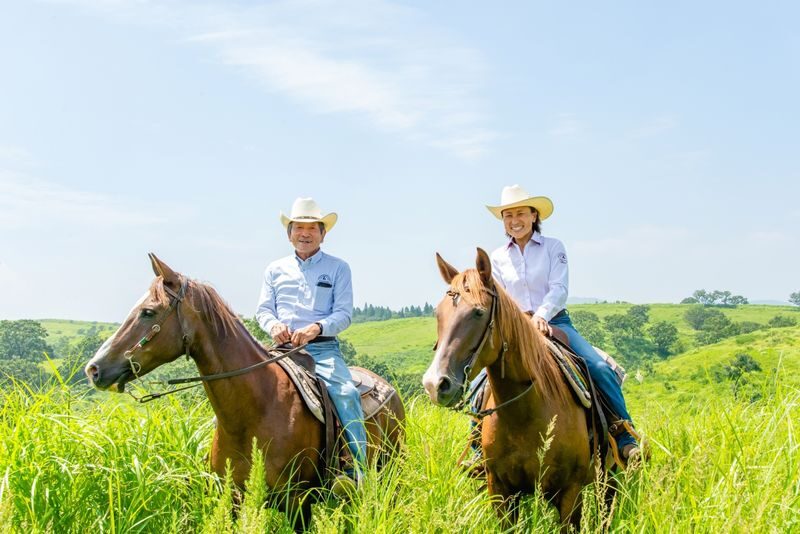 Half-day private horseback riding experience at Aso Daikanbo - A horseback ride is the heart of this Aso outing