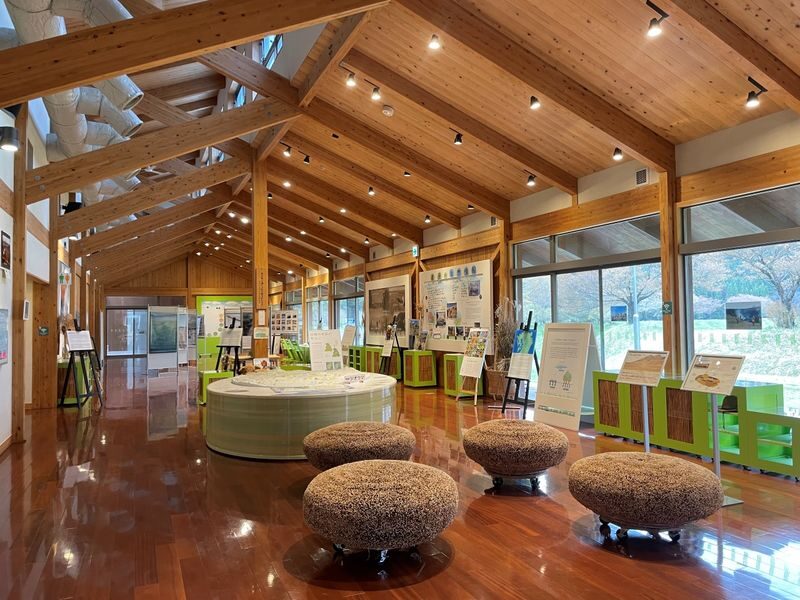 Half-day private horseback riding experience at Aso Daikanbo - Who is likely to enjoy this outing?