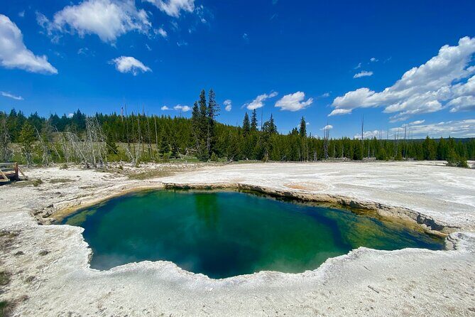 Half Day Private in Yellowstone Geyser Basin Tour - Exploring the Geyser Basins: A Private Yellowstone Experience