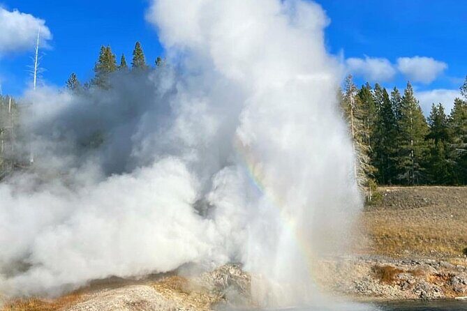 Half Day Private in Yellowstone Geyser Basin Tour - Key Points