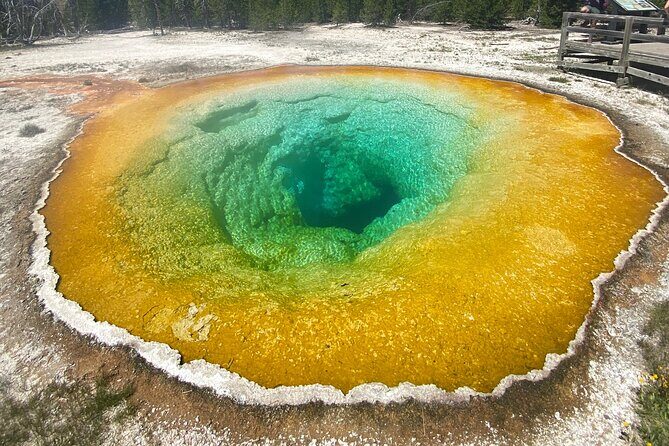 Half Day Private in Yellowstone Geyser Basin Tour - The Sum Up