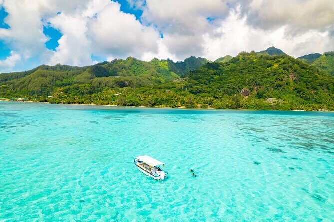 Half Day / Private Lagoon Adventure in Mo'orea - Discover Mo’orea’s Lagoon with a Private Half-Day Adventure