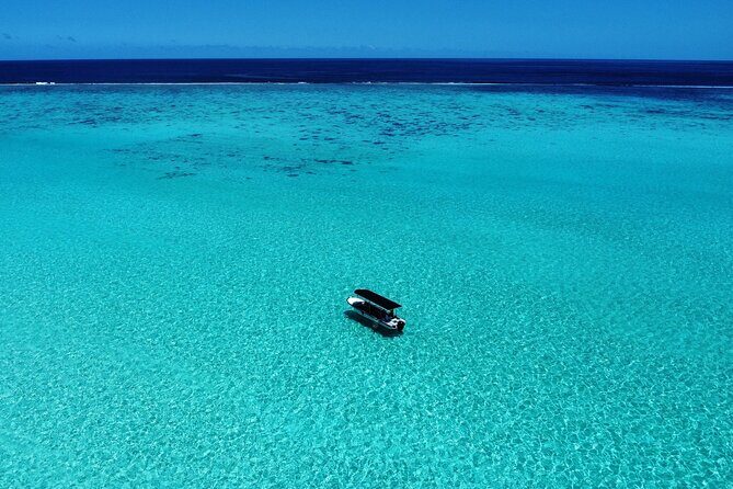 Half Day / Private Lagoon Adventure in Mo'orea - Who Is This Tour Best Suited For?