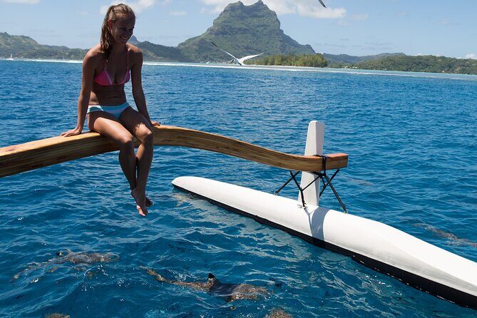 Half Day Private Lagoon Snorkeling Experience - Final Thoughts: Is This Tour Right for You?
