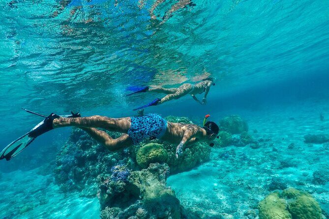 Half-Day Private Luxury Tour from Bora Bora - Itinerary Breakdown: What to Expect