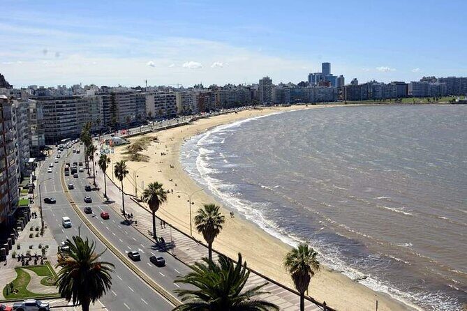 Half Day Private Montevideo City Tour - Authenticity and Value