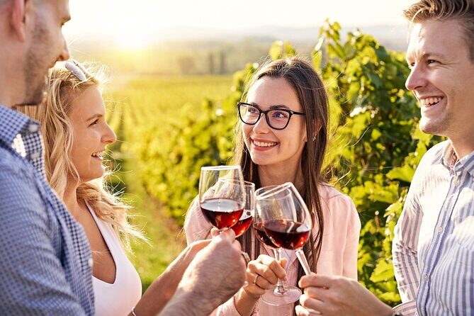 Half-Day Private Niagara County Wine Tour Experience - The Practicalities: What Travelers Should Know