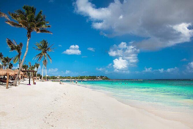 Half Day Private Snorkeling with Turtles and Majestic Cenotes - Final Thoughts