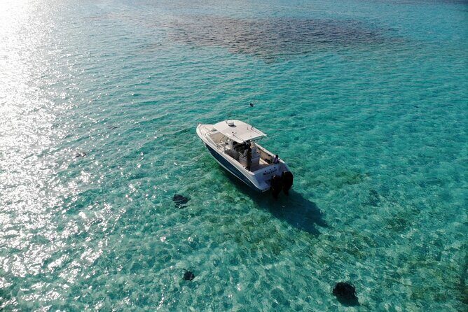 Half-Day Private Stingray City Charter - Grand Cayman - BTC - An In-Depth Look at the Experience