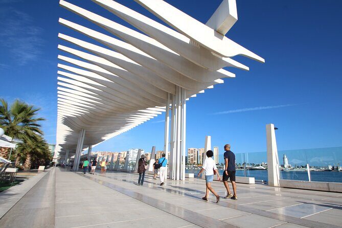 Half-Day Private Taxi Tour to Malaga Historic Center - Key Points