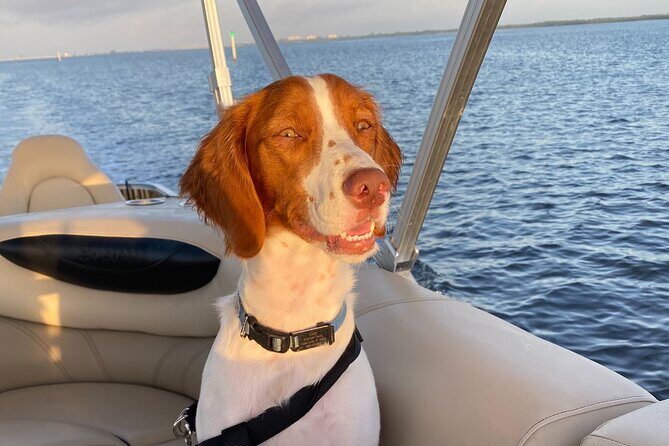 Half-Day Private Tiki Boat Beach Tour from Fort Myers - FAQs