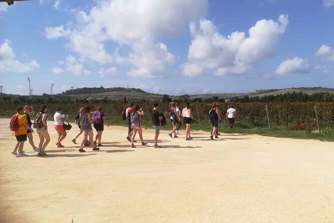 Half Day Private Tour Around Malta - Who Should Book This Tour?