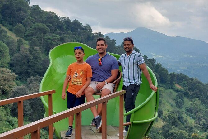 Half Day Private Tour between Avocado Trees in Antigua - A Private Half-Day Escorted Tour Through Antigua’s Avocado Groves