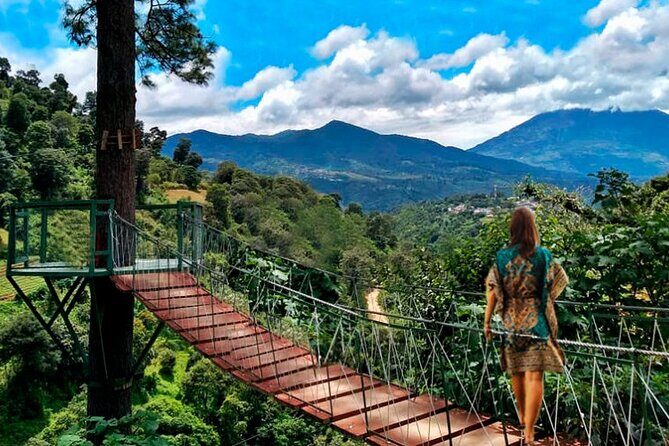 Half Day Private Tour between Avocado Trees in Antigua - Key Points