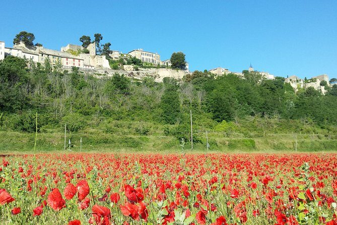 Half day private tour for 2-3 person - Exploring Provence with Your Personal Guide: What to Expect