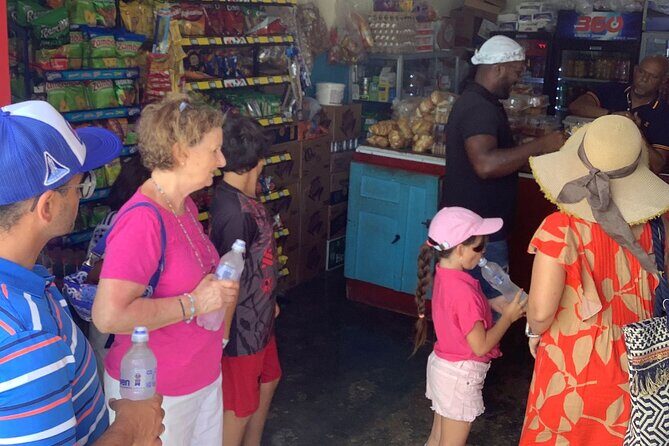 Half Day Private Tour in Dominican Republic with Local Guide - Who Will Love This Tour?