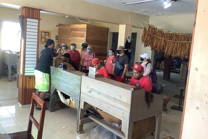 Half Day Private Tour in Dominican Republic with Local Guide - The Bottom Line