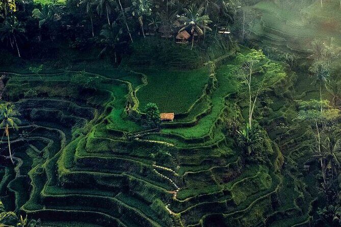 Half Day Private Tour in Ubud - Key Points