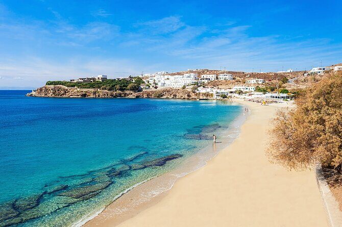 Half Day Private Tour Island with a Local in Mykonos - Key Points