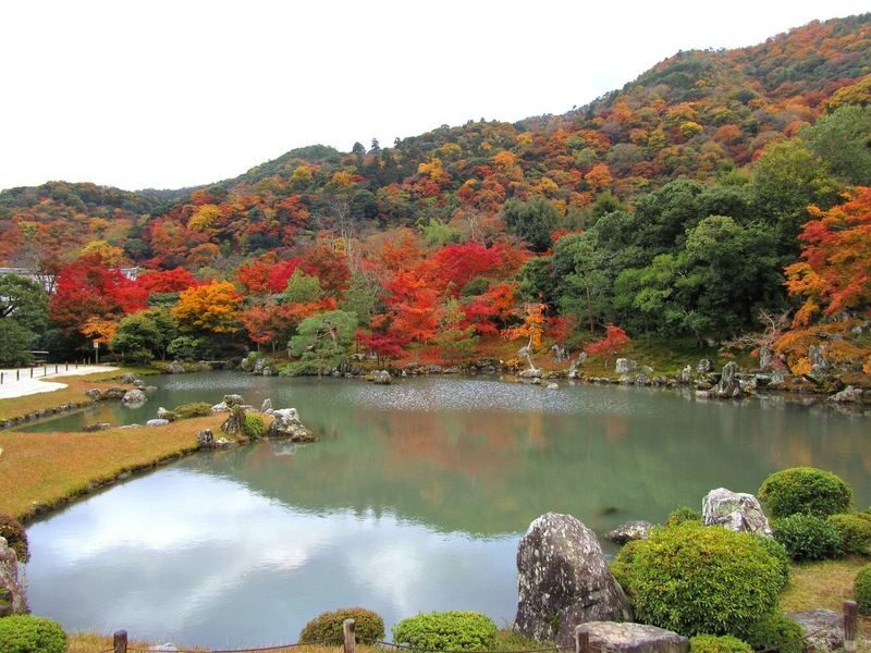 Half-day private tour of Arashiyama Monkey Park and Arashiyamas famous spots - Togetsukyo Bridge and the river below