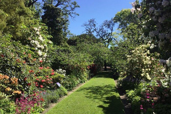Half day Private Tour of Dunedin City Highlights and Peninsula Scenery - An In-Depth Look at the Dunedin Private Tour