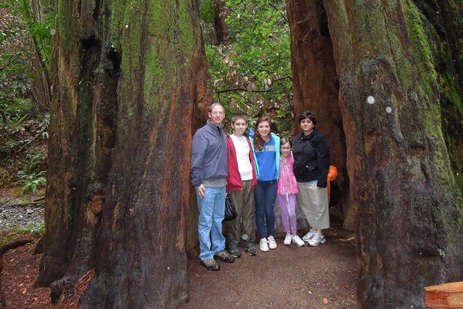Half-Day Private Tour of Muir Woods & Sausalito from San Francisco - Final Thoughts