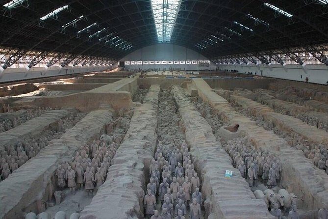 Half-Day Private Tour of Terracotta Warriors and Horses Museum - Experience the Terracotta Warriors in Comfort and Style
