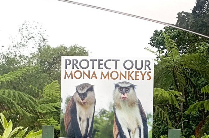 Half Day Private Tour of The Spice Isle - Key Points